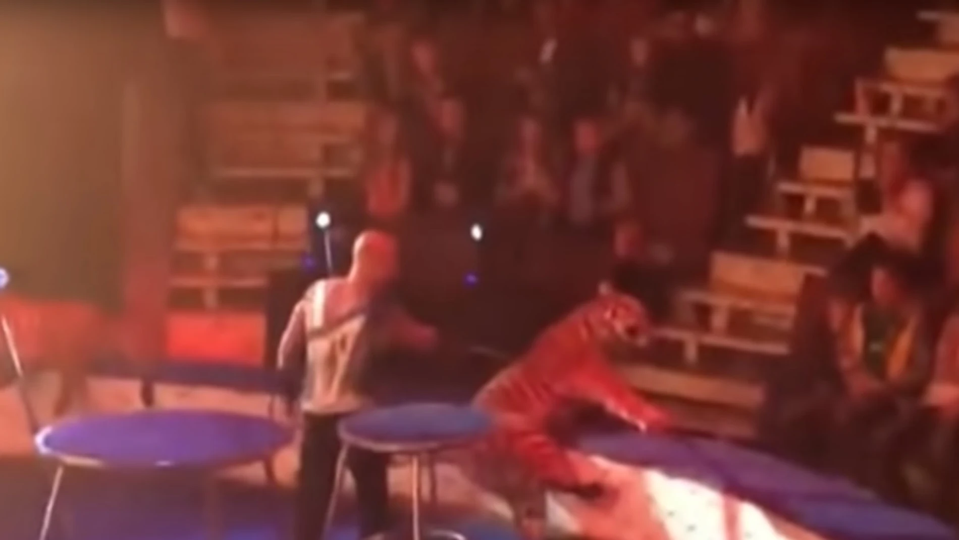 La tigresa desvanecida La tigresa desvanecida