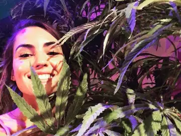 Asistente de la exhibición Cannabition Asistente de la exhibición Cannabition