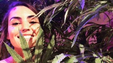 Se inaugura el primer museo interactivo de marihuana en Las Vegas