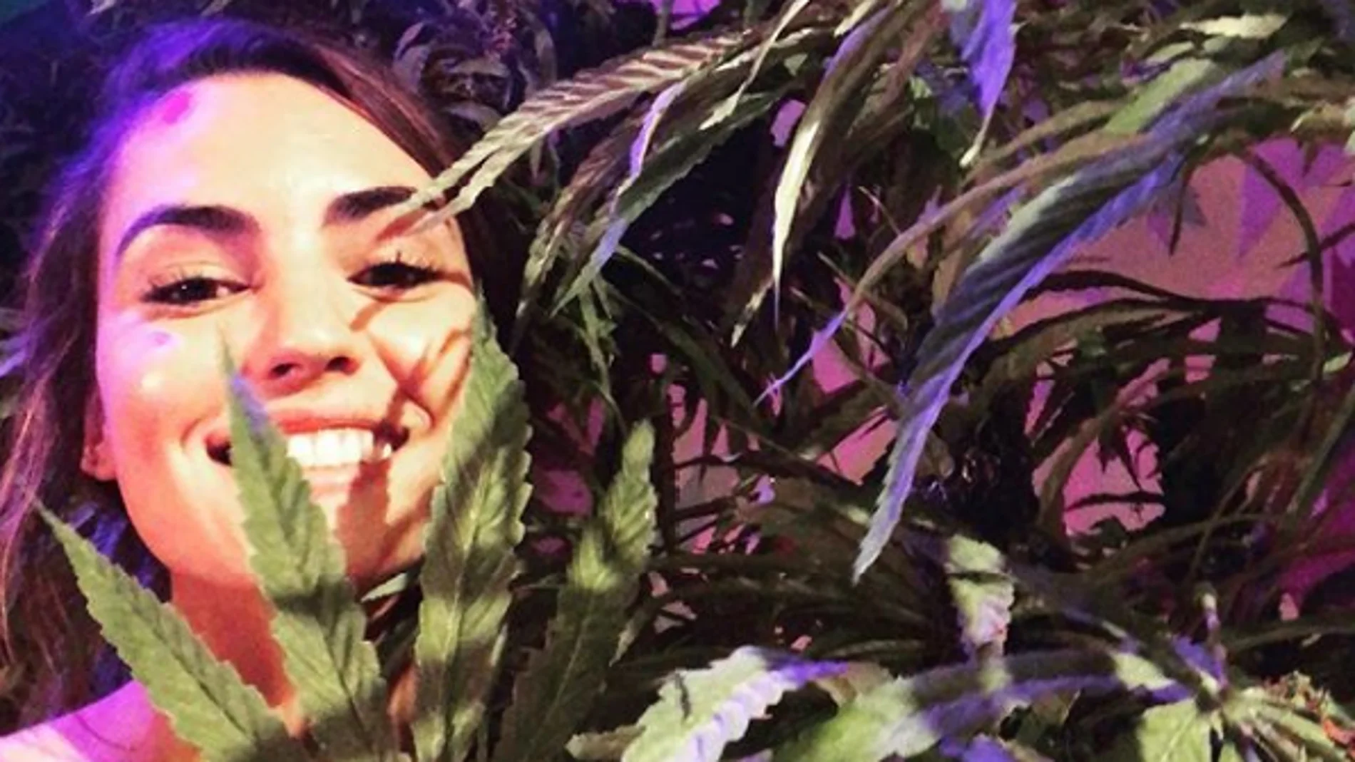 Asistente de la exhibición Cannabition Asistente de la exhibición Cannabition