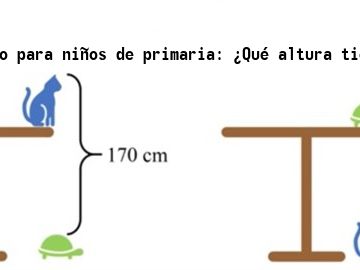 Problema chino Problema chino