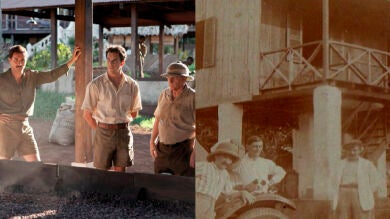 Basada en hechos reales: Conoce la historia verídica detrás de 'Palmeras en la Nieve'