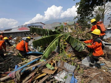 Los trabajadores de la Agencia Nacional de Búsqueda y Rescate de Indonesia buscan cuerpos bajo las ruinas