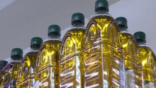 Detectan fraude en la producci&oacute;n y venta de aceite de oliva en Espa&ntilde;a