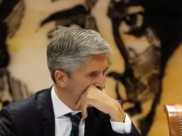 El ministro del Interior, Fernando Grande-Marlaska El ministro del Interior, Fernando Grande-Marlaska