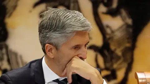 El ministro del Interior, Fernando Grande-Marlaska El ministro del Interior, Fernando Grande-Marlaska