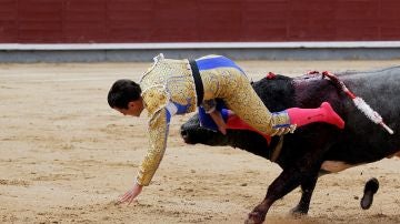 El diestro Rubén Pinar es cogido por el todo durante la tradicional corrida del "Día de la Hispanidad" 