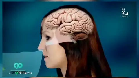 ¿Qué es la 'ameba comecerebros' y dónde se encuentra? Dos estadounidenses mueren al año por esta infección ¿Qué es la 'ameba comecerebros' y dónde se encuentra? Dos estadounidenses mueren al año por esta infección