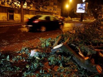 Árboles caídos por el paso de Leslie en Portugal