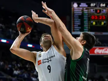 Felipe Reyes, ante Todorovic Felipe Reyes, ante Todorovic