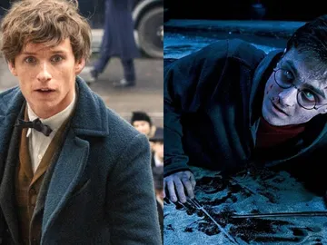 'Animales Fantásticos' y 'Harry Potter' 'Animales Fantásticos' y 'Harry Potter'