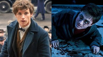 'Animales Fantásticos' y 'Harry Potter' 'Animales Fantásticos' y 'Harry Potter'
