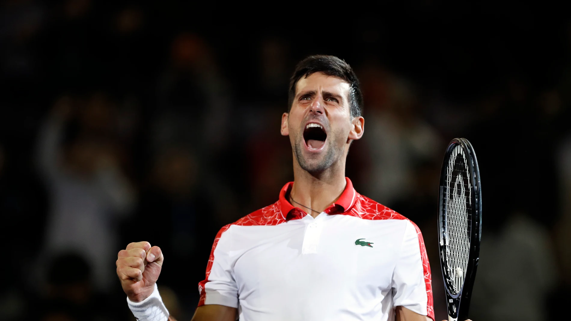Novak Djokovic Novak Djokovic