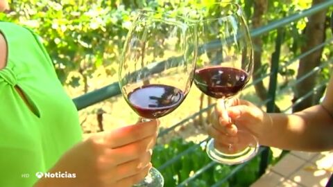Cremas faciales con vino tinto, la sorprendente creaci&oacute;n de dos mujeres gallegas