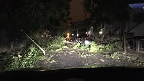 Leslie en Portugal Leslie en Portugal