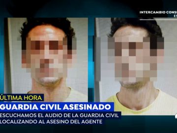 La emotiva llamada de la Guardia Civil tras detener al hombre que acabó con la vida de un agente: "Enhorabuena, compañeros"