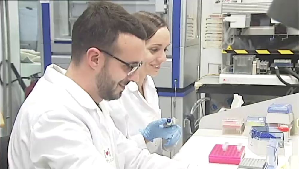 Investigadores españoles consiguen eliminar el VIH en personas con trasplantes de células madre