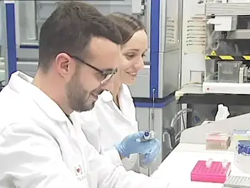 Investigadores españoles consiguen eliminar el VIH en personas con trasplantes de células madre Investigadores españoles consiguen eliminar el VIH en personas con trasplantes de células madre