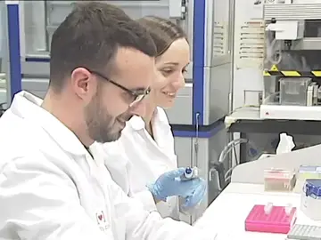 Investigadores españoles consiguen eliminar el VIH en personas con trasplantes de células madre Investigadores españoles consiguen eliminar el VIH en personas con trasplantes de células madre