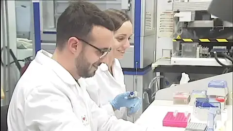 Investigadores españoles consiguen eliminar el VIH en personas con trasplantes de células madre Investigadores españoles consiguen eliminar el VIH en personas con trasplantes de células madre