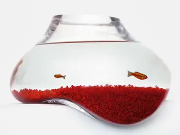 Las casas de mascotas se vuelven de diseño Las casas de mascotas se vuelven de diseño