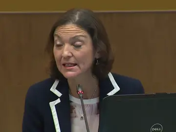 El turismo disminuye en España, que cerrará 2018 con un 0,8% menos que en 2017 El turismo disminuye en España, que cerrará 2018 con un 0,8% menos que en 2017