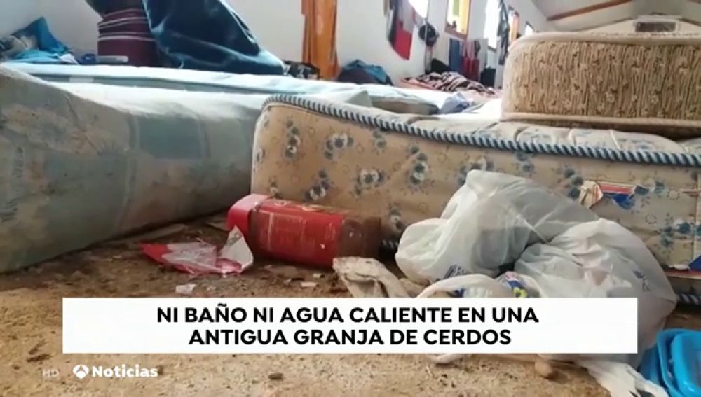 Cientos de temporeros viven hacinados en una antigua granja de cerdos y no se pueden ir porque no han cobrado