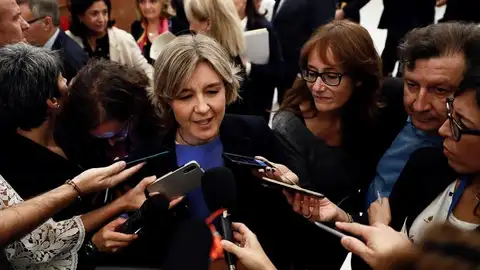 La diputada del PP, Isabel García Tejerina La diputada del PP Isabel García Tejerina