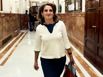 Teresa Ribera en el Congreso de los Diputados Teresa Ribera en el Congreso de los Diputados