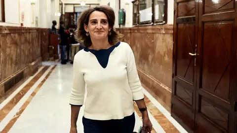 Teresa Ribera en el Congreso de los Diputados Teresa Ribera en el Congreso de los Diputados