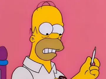 Homer Simpson Homer Simpson