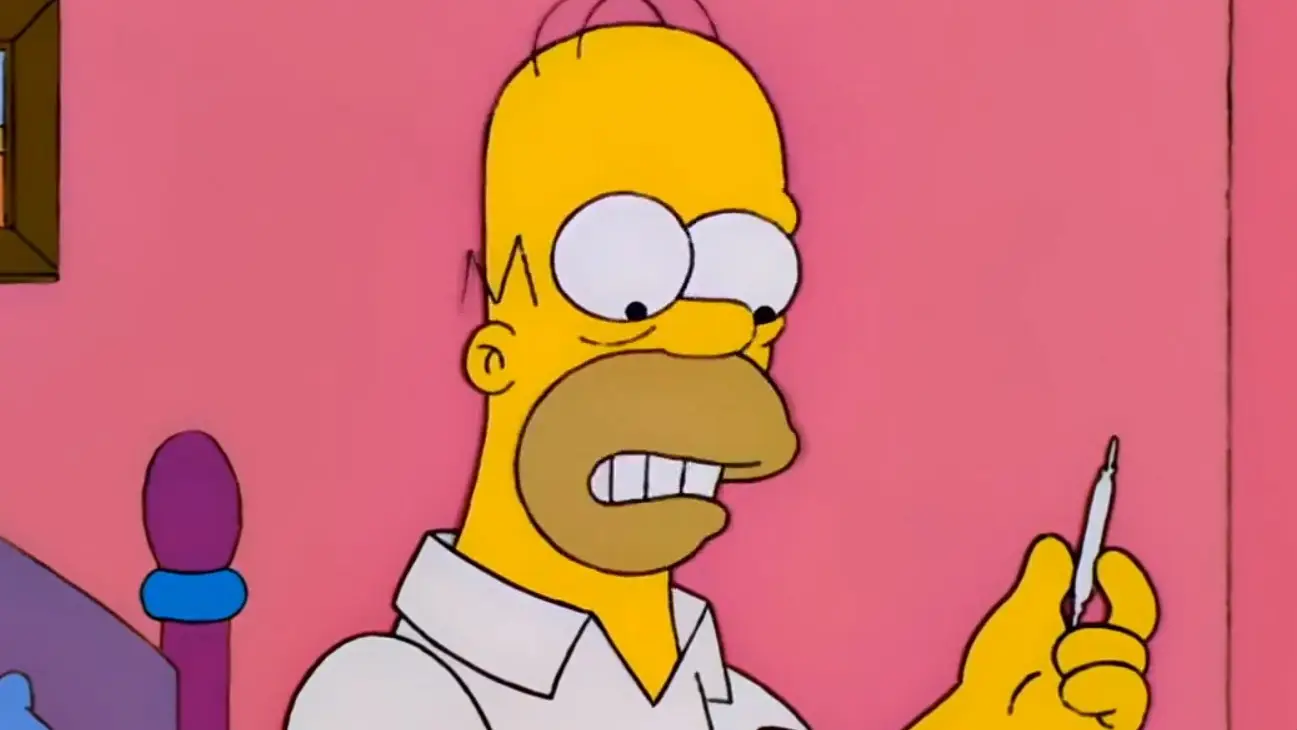 Homer Simpson Homer Simpson