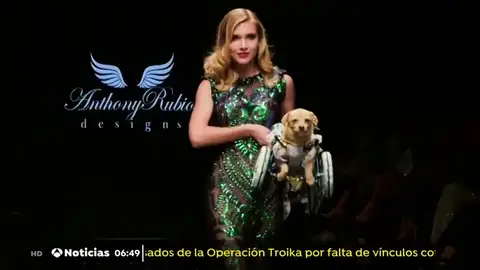 Un perro desfila con silla de ruedas en la semana de la moda de Los Ángeles Un perro desfila con silla de ruedas en la semana de la moda de Los Ángeles