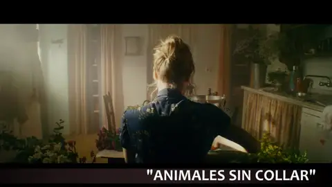 'Petra', 'Animales sin collar' o 'La buena esposa', entre los estrenos destacados del fin de semana 'Petra', 'Animales sin collar' o 'La buena esposa', entre los estrenos destacados del fin de semana