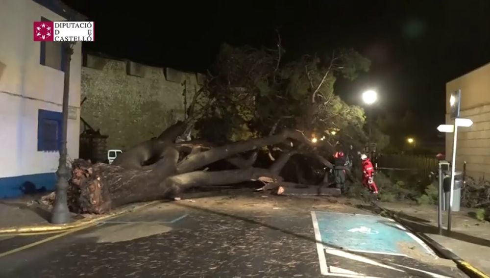 Los estragos de la gota fría: lluvias torrenciales de hasta 300 litros por metro cuadrado