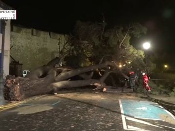 Los estragos de la gota fría: lluvias torrenciales de hasta 300 litros por metro cuadrado