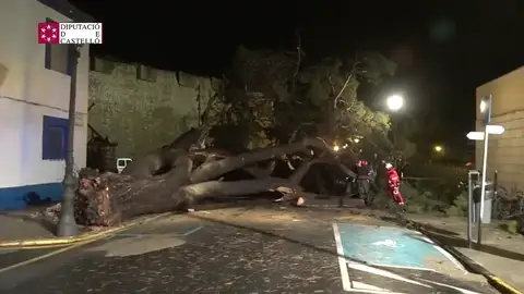 Los estragos de la gota fría: lluvias torrenciales de hasta 300 litros por metro cuadrado Los estragos de la gota fría: lluvias torrenciales de hasta 300 litros por metro cuadrado