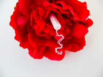 Menstruación Menstruación