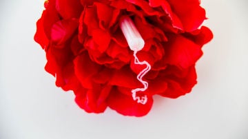 Menstruación