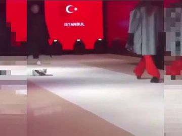 Un gato se cuela en un desfile de moda y se hace viral 