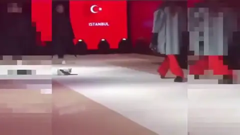 Un gato se cuela en un desfile de moda y se hace viral Un gato se cuela en un desfile de moda y se hace viral