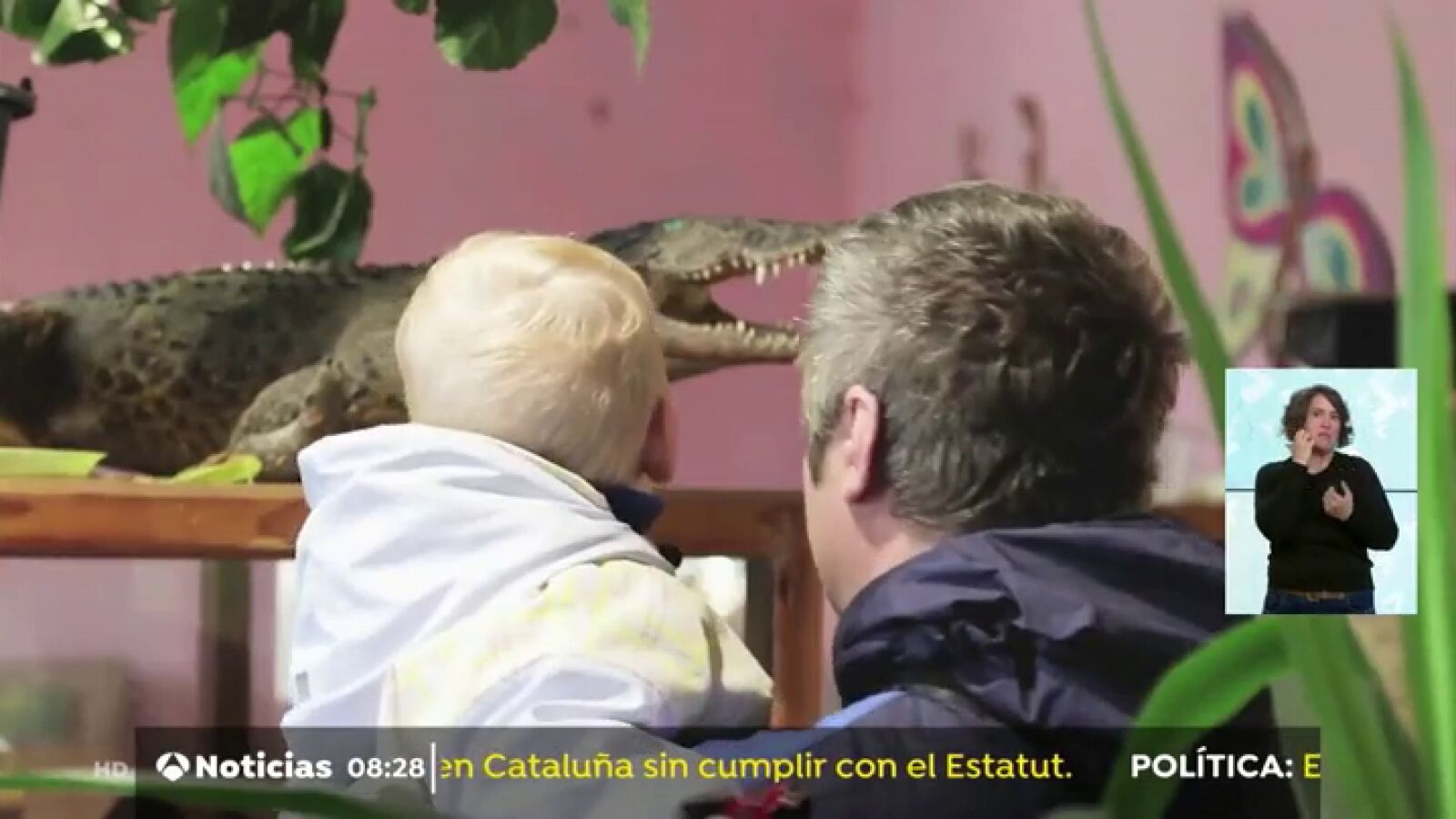 Un sacerdote de Rusia convierte el sótano de su Iglesia en un zoo para captar feligreses