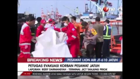  Hallan cad&aacute;veres entre los restos del avi&oacute;n de Lion Air estrellado frente a la isla indonesia de Sumatra