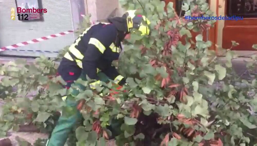 Activado el nivel amarillo por fuertes vientos en la Comunidad Valencia 