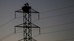 Imagen de archivo de un tendido el&eacute;ctrico
