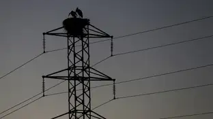 Imagen e archivo de una torre de un tendido eléctrico Imagen de archivo de un tendido eléctrico