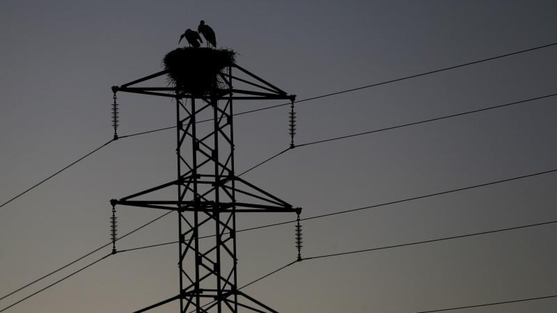 Imagen e archivo de una torre de un tendido el&eacute;ctrico