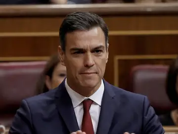 El presidente del Gobierno, Pedro Sánchez, durante la sesión de control El presidente del Gobierno, Pedro Sánchez, durante la sesión de control