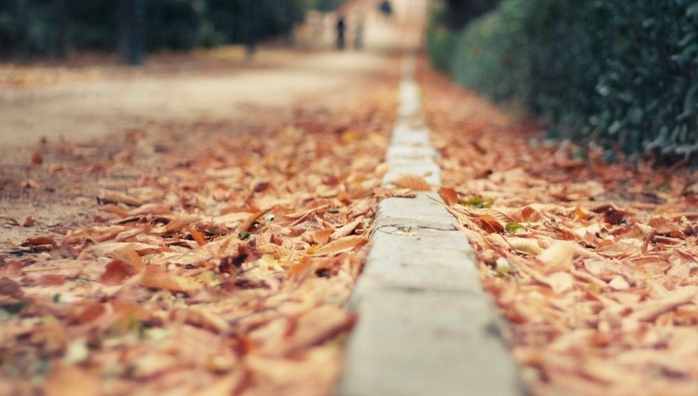 Otoño en Madrid