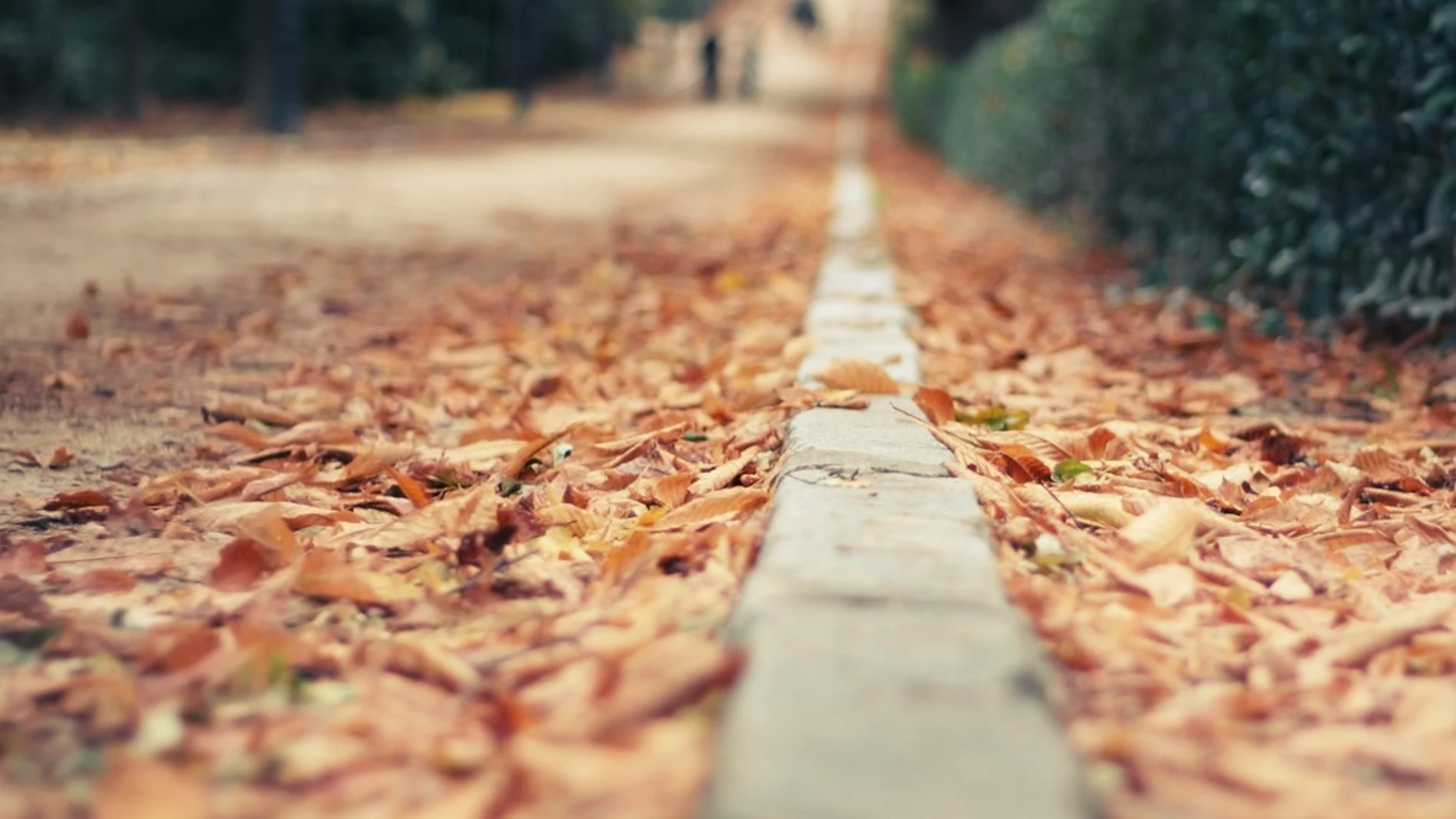 Otoño en Madrid Otoño en Madrid